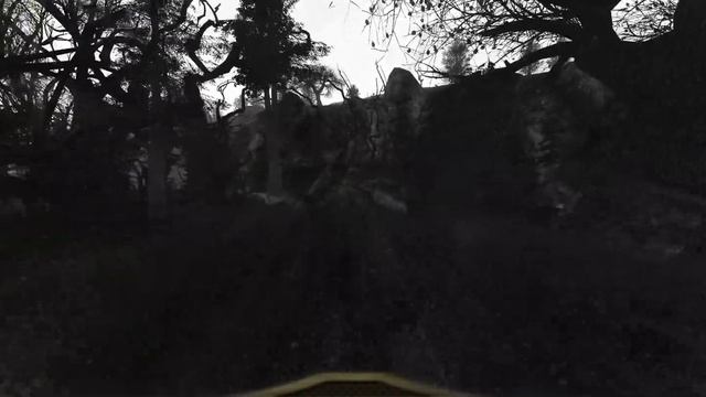 S.T.A.L.K.E.R. NLC 7 Build 3.0 - Radar Part 2 (1440p Ultrawide) смотреть онлайн