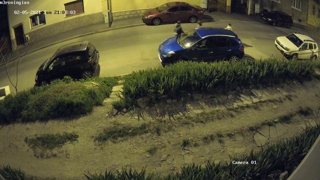 Surveillance Unfortunate Moments 33 HIKVISION DS-2CD2185FWD-I "3 Tulips gone" смотреть онлайн