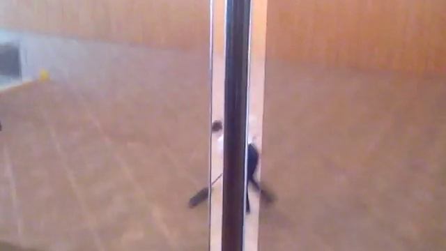 Обычное занятие по бальным танцам смотреть онлайн