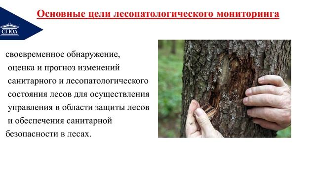 Тема 11 Правовая охрана природных объектов (Часть 2) смотреть онлайн