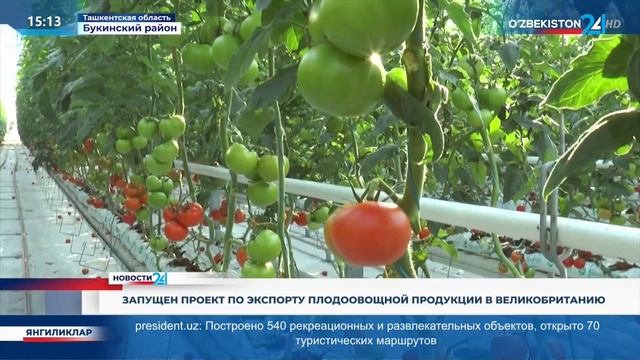 Запущен проект по экспорту плодоовощной продукции в Великобританию смотреть онлайн