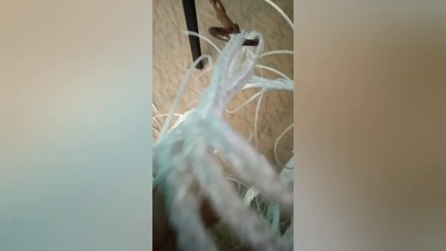 Плетение конской уздечки смотреть онлайн