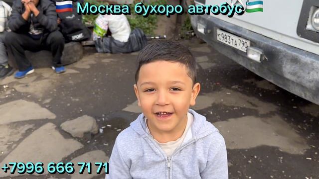 #москва #бухара #автобус Москва Бухара автобус ￼ прямой рейс смотреть онлайн