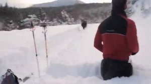 Лось бежит по глубокоснежью (полный)