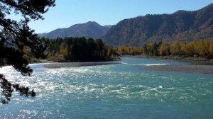 Божественное исцеление от холецистита Настрои академика Сытина Г.Н.