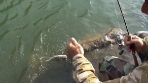 Рыбалка в Армении