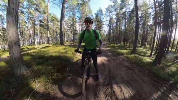 Тестируем Stern Force 2.0