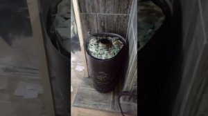 Ферингер закладка камней