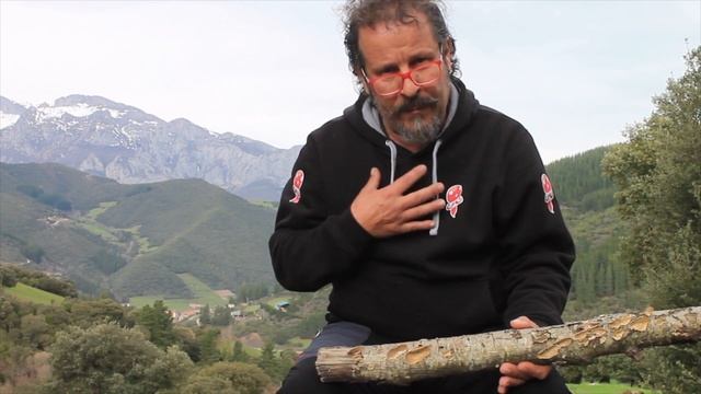 Trametes versicolor | BENEFICIOSO para la SALUD смотреть онлайн
