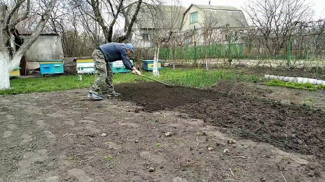 #лук #морковь . Садим лук, сеем морковь. смотреть онлайн