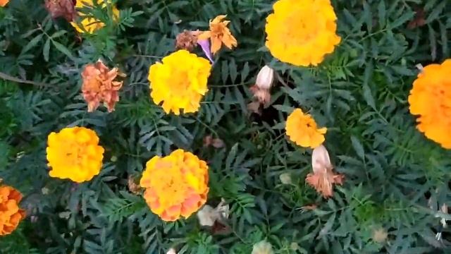 Хрустальное счастье 1 - 4 серии | Мелодрама 2021 смотреть онлайн