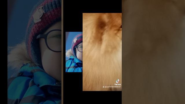 история моих животных смотреть онлайн