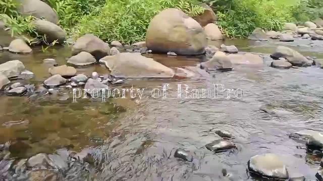 TERJual Tanah murah Swiss Van Java Air Sungai Jernih Pemandangan Gunung Ide Desain Rumah Tropis смотреть онлайн