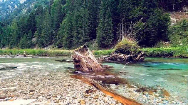 4K, Enjoy 20 Beautiful Wilderness Areas Over 10 Hours  | #Nature #Relax #NatureLovers #Selfcare