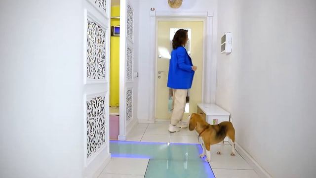 ШОПОГОЛИКИ #143 БИТВА КОМБИНЕЗОНОВ с чем носить комбинезоны Бешеная обзорщица мерит смотреть онлайн