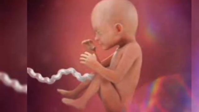 Homiladorlikning 23-haftasi.23 Haftalik Homila. Homiladorlikning Yigirma Uchinchi Haftasi.