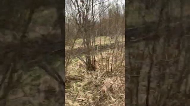 СМОЖЕТ ЛИ КВАДРОЦИКЛ CF MOTO проехать на заднем приводе по грязи смотреть онлайн
