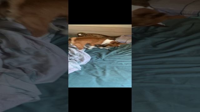 Вася и Салли утро