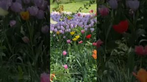 Шейх Мишари Рашид сура-40 Гафур (Прощающий) #kuran#zakirnaik #kuran#sunnah#коран