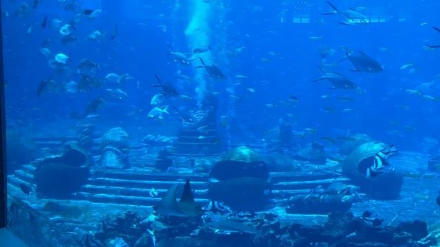 Traveling in China | Atlantis Sanya | Hainan Island, China смотреть онлайн