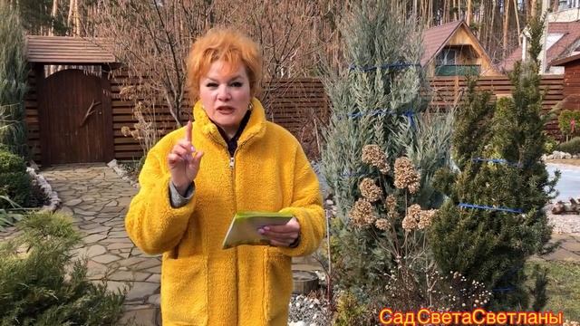 Ремонтный Камертон