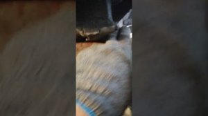 Снятие мкпп коробки передач с редуктором тойота спринтер 4вд