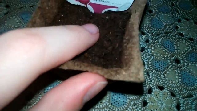 Краина Витамина |ВЗОШЛА ГОРЧИЦА смотреть онлайн