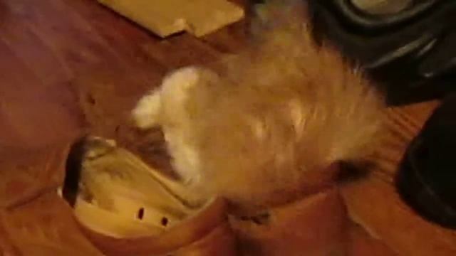 ищем заначку смотреть онлайн