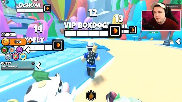 ALL 3 "SECRET" FREE PET CODES IN PET FIGHTERS SIMULATOR! Roblox смотреть онлайн