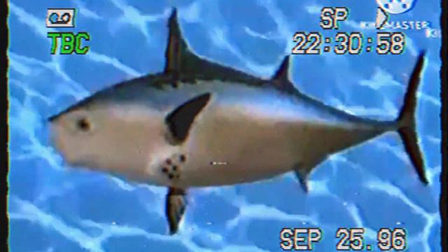 Spongeboy Ahoy German Intro (1996) смотреть онлайн