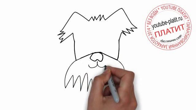 Как нарисовать доверчивую собаку карандашом поэтапно смотреть онлайн