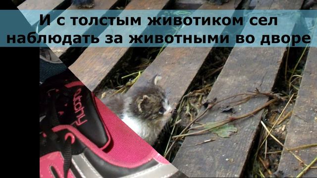 История Коти смотреть онлайн