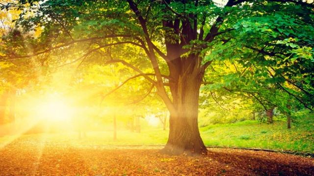 Посланники Андромеды. Судьбоносный выбор.