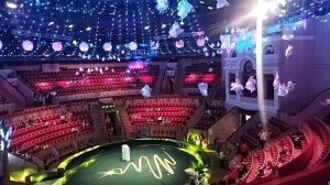 Санкт-Петербург, Цирк ? на Фонтанке, арена