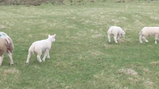 Garla Beltex. First day outdoors 2021 смотреть онлайн