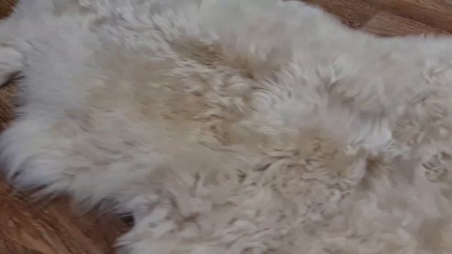 КОВЕР ИЗ ДВУХ СВЕТЛЫХ ОВЕЧЬИХ ШКУР (КОД: 4860) смотреть онлайн