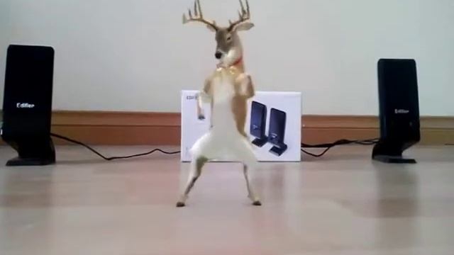 M1250 смотреть онлайн