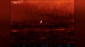 Насколько близко можно подойти к зайцу с тепловизором. PULSAR AXION XQ 38.