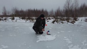 Что ставить на жерлицу леску или метал ? На что больше поклевок щуки