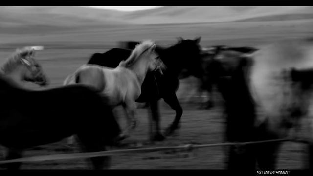 B.Boldbaatar CTA - nutgaa gvisen ajnai смотреть онлайн