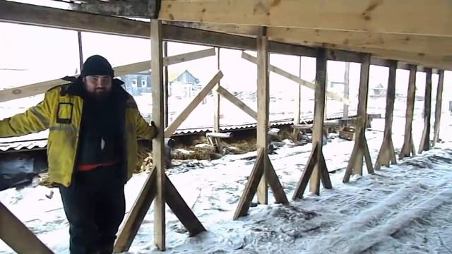 Сарай, застелили крышу