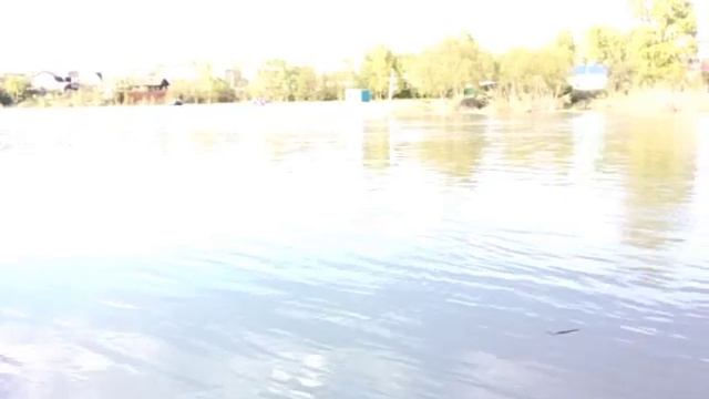 Бобр на реке Кондома смотреть онлайн