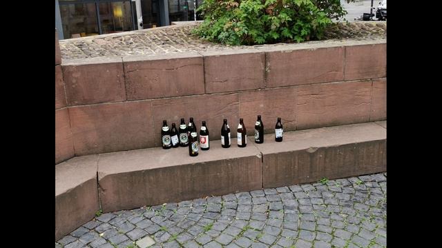 GerКуЛес Велопутешествие по реке Рейн Часть 2 смотреть онлайн