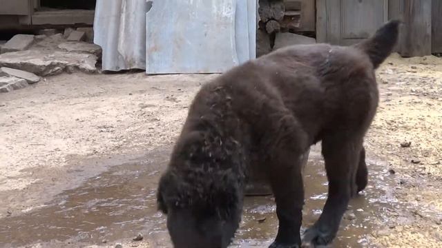 Ночка купается смотреть онлайн