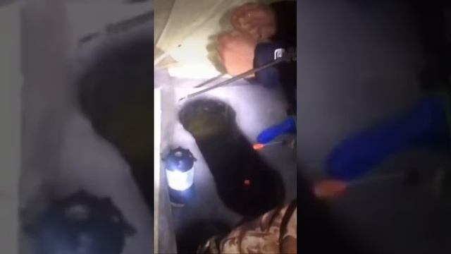 Засадил за самые жабры.#Рыбалкадлядуши смотреть онлайн