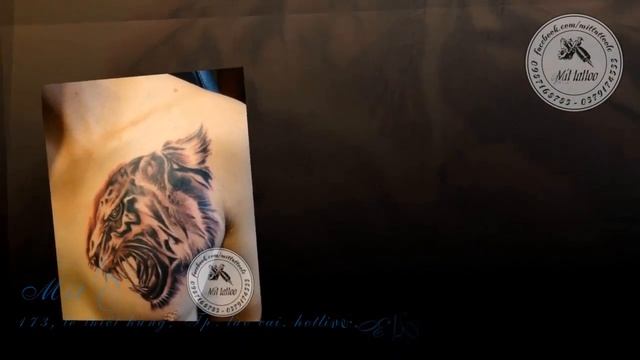 Hình Xăm Ở Ngực Cho Nam 1 - Mít Tattoo смотреть онлайн