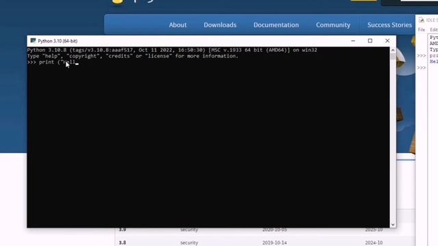 Installed and Used Python (Group Activity) смотреть онлайн