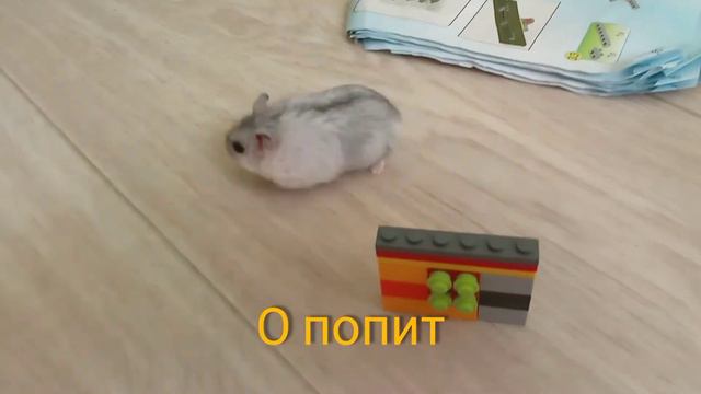 Поп ит из лего. С нашим любимым гостем. смотреть онлайн