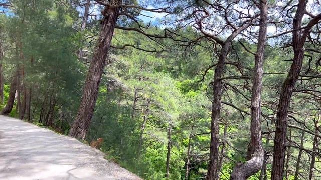 Голубая Бездна | Геленджикские Мальдивы | Геленджик 2023 смотреть онлайн