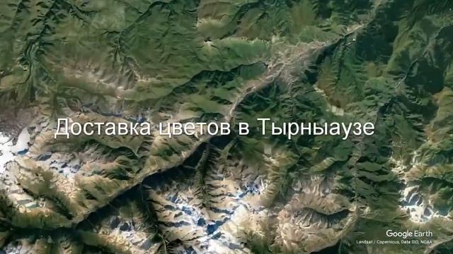 Доставка цветов в Тырныаузе - Заказ букетов от компании Скорая подарочная помощь смотреть онлайн